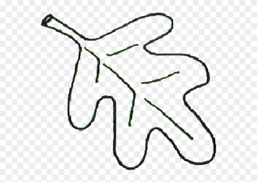 880x625 Leaf Clipart White Oak - White Oak Leaf Drawing