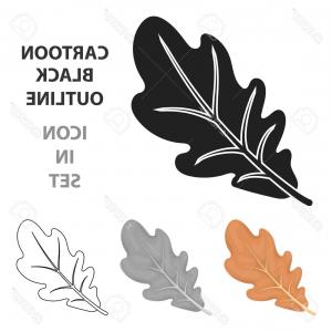 300x300 vector oak leaf and acorn drawing set autumn elements gm lazttweet - White Oak Leaf Drawing