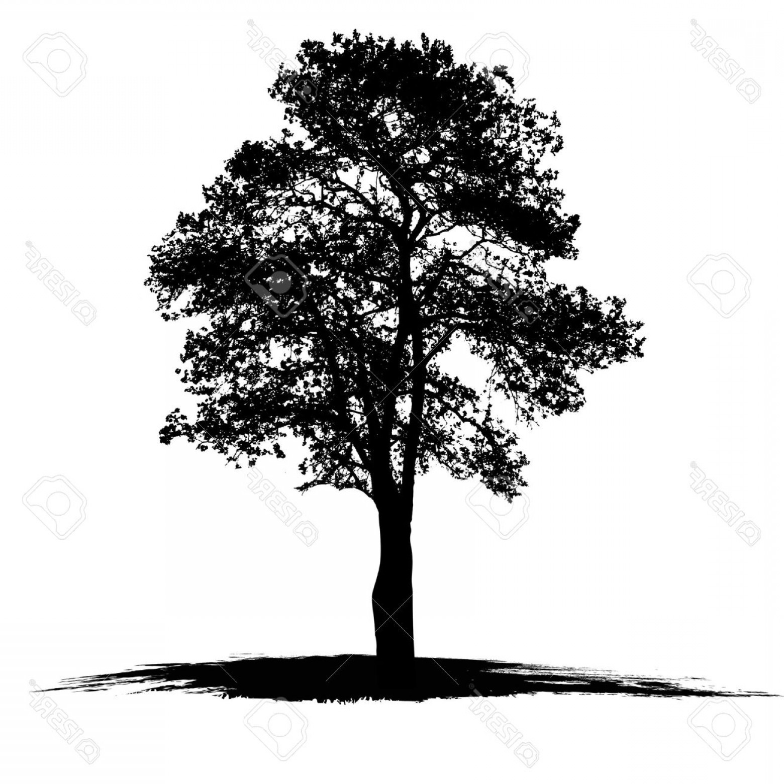 1560x1560 white oak leaf outline vector lazttweet - White Oak Leaf Drawing