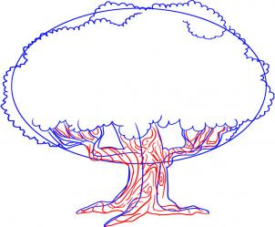 302x249 How To Draw How To Draw An Oak Tree - White Oak Tree Drawing