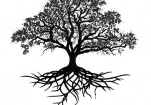300x210 simple oak tree drawing white oak tree drawing at getdrawings - White Oak Tree Drawing