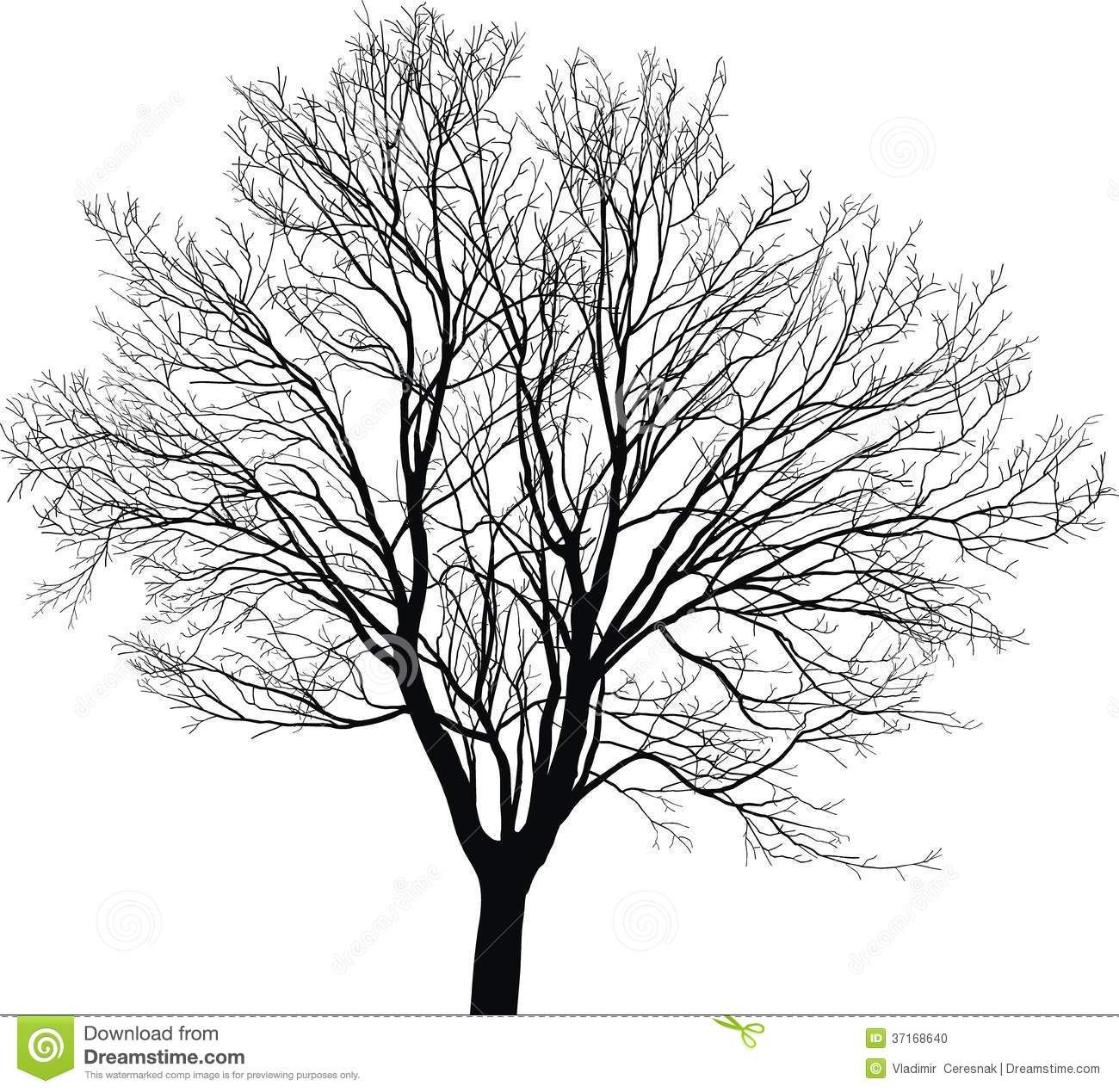 1300x1269 Black And White Drawings Of Trees - White Oak Tree Drawing