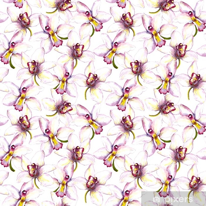 700x700 seamless floral background with white orchid flower hand painted - White Orchid Drawing