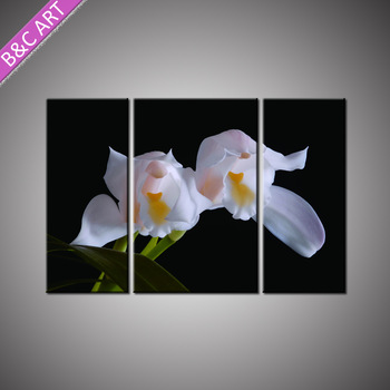 350x350 Wall Decor Pictures Flower White Orchid Drawing Custom Canvas - White Orchid Drawing