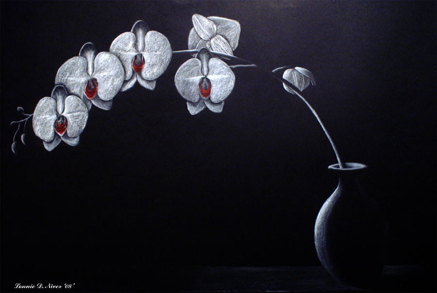 900x604 white orchids drawing - White Orchid Drawing