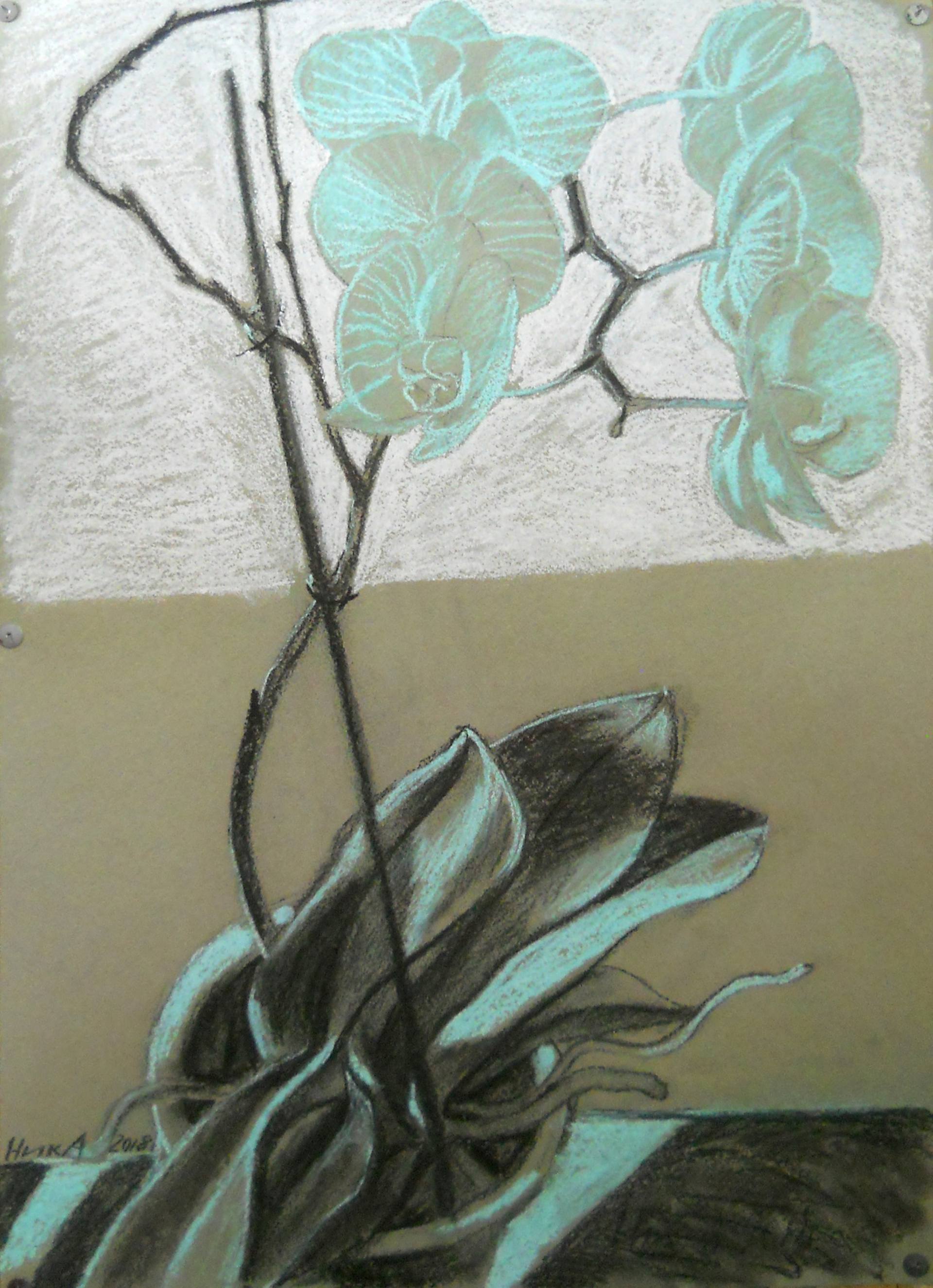 1920x2650 White Orchid Drawing - White Orchid Drawing