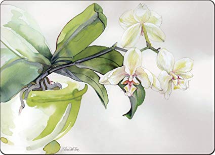425x307 cala home premium hardboard placemats table mats - White Orchid Drawing