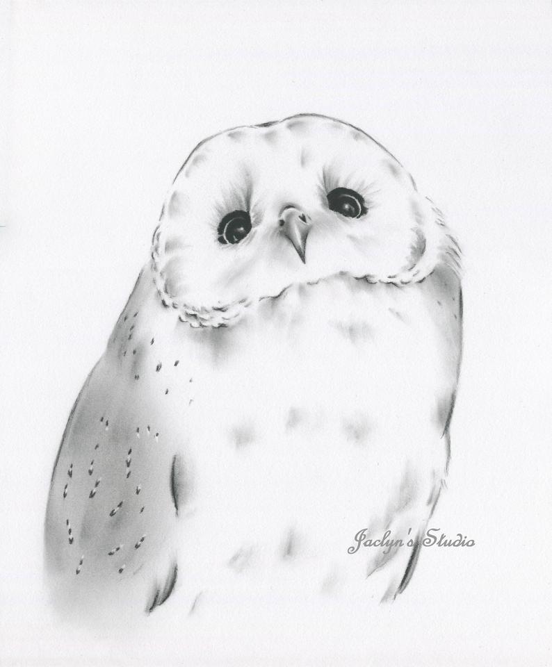 794x960 Original Barn Owl Charcoal Drawing Barn Etsy - White Owl Drawing