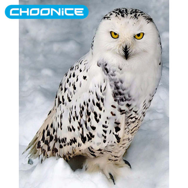 640x640 Online Shop White Owl Diamond Painting Owl Drawing Snow Animal - White Owl Drawing