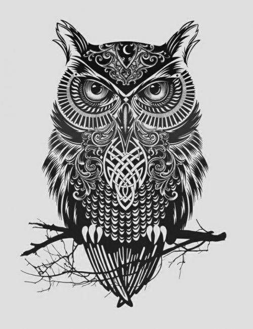 500x650 owl drawings owl drawing, black and white owl drawing - White Owl Drawing