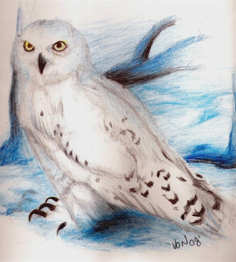 808x900 Snow Owl Drawing - White Owl Drawing