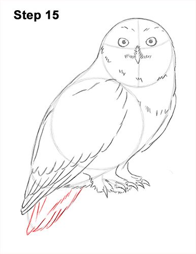 386x500 snowy owl drawing art snowy owl, owl art, owl embroidery - White Owl Drawing