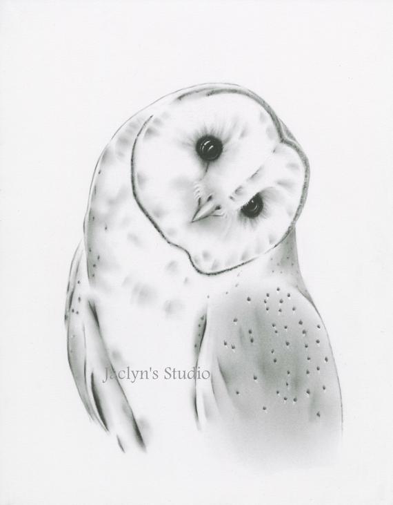 570x731 barn owl print owl drawing print owl sketch owl art owl etsy - White Owl Drawing