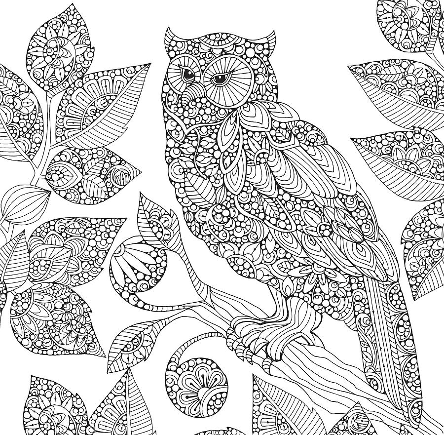 900x881 Black And White Owl Drawing - White Owl Drawing