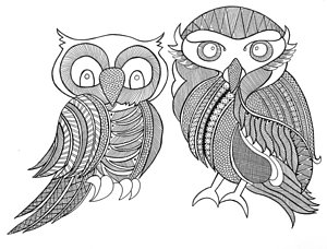 300x228 Black And White Owl Drawings Fine Art America - White Owl Drawing