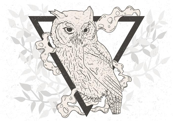 700x490 Hand Drawn Of Black And White Owl - White Owl Drawing
