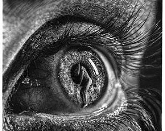 340x270 Pencil Drawing Etsy - White Pencil Drawing