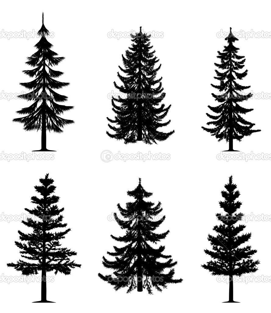 889x1024 how to draw pine trees in the distance - White Pine Drawings