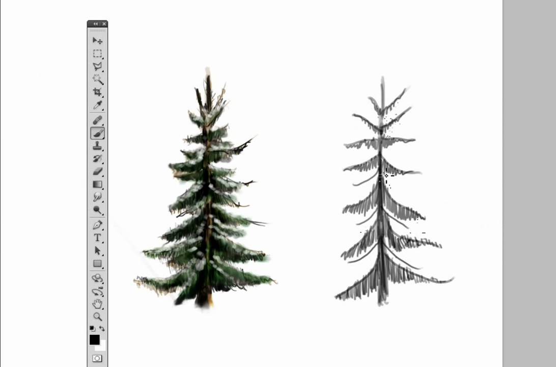 1092x720 Draw A Pine Tree In Photoshop - White Pine Drawings