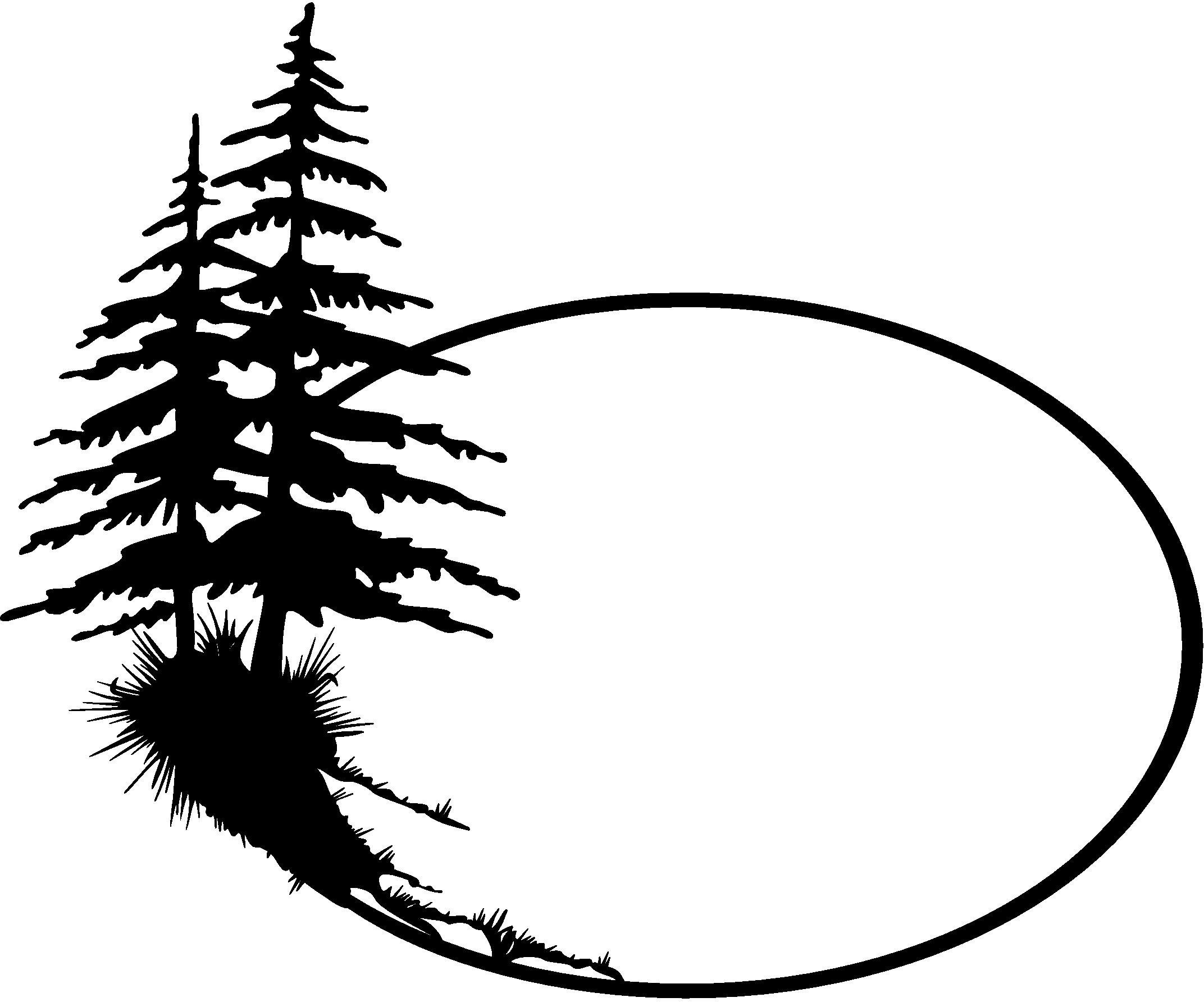 2144x1784 How To Draw Pine Trees Step - White Pine Tree Drawing