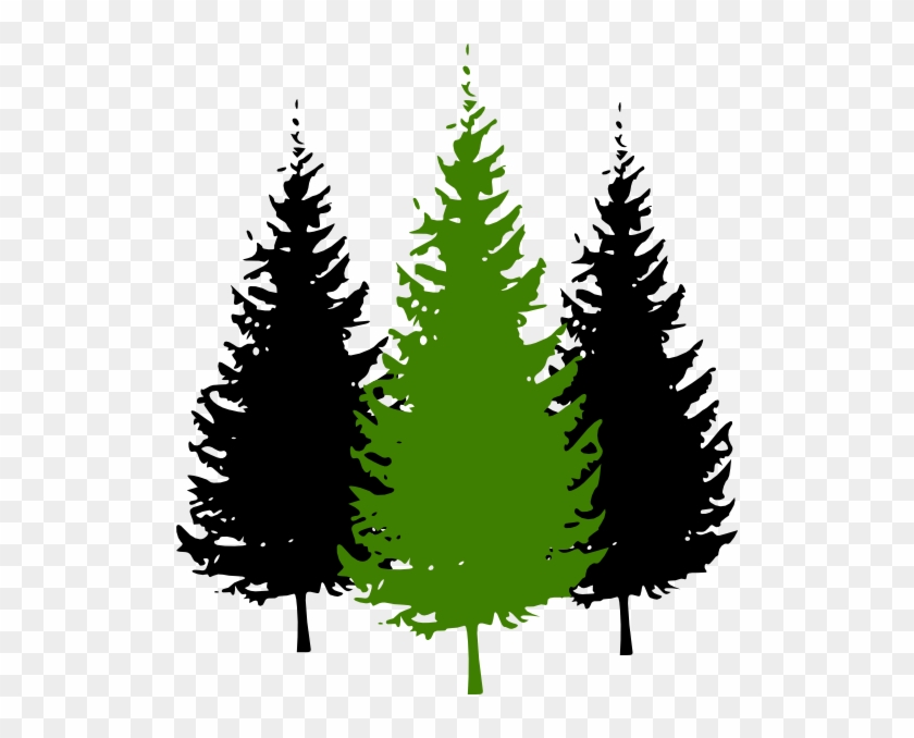 840x678 Redwood Tree Drawing With Roots For Kids - White Pine Tree Drawing