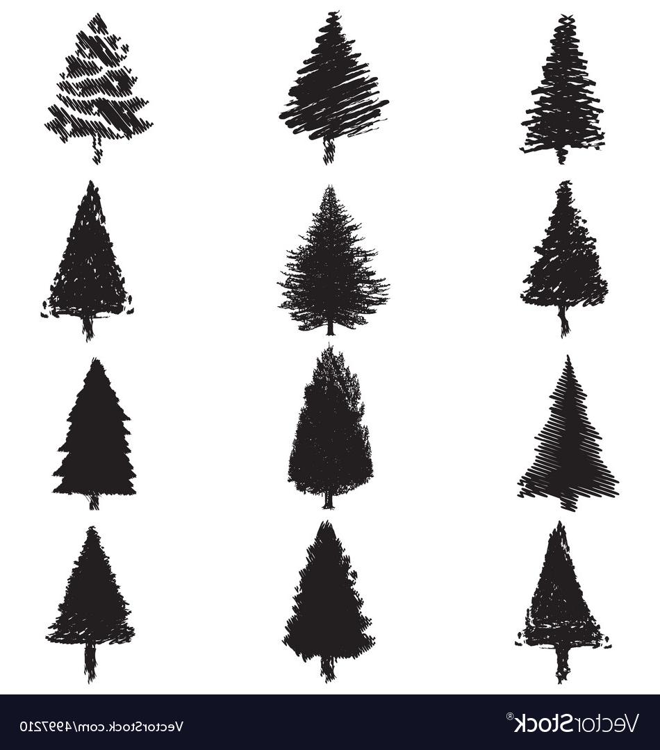 950x1080 Top Abstract Pine Trees Silhouette Vector Drawing - White Pine Tree Drawing