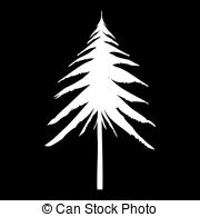 180x195 White Pine Tree Drawing Vector Illustration - White Pine Tree Drawing
