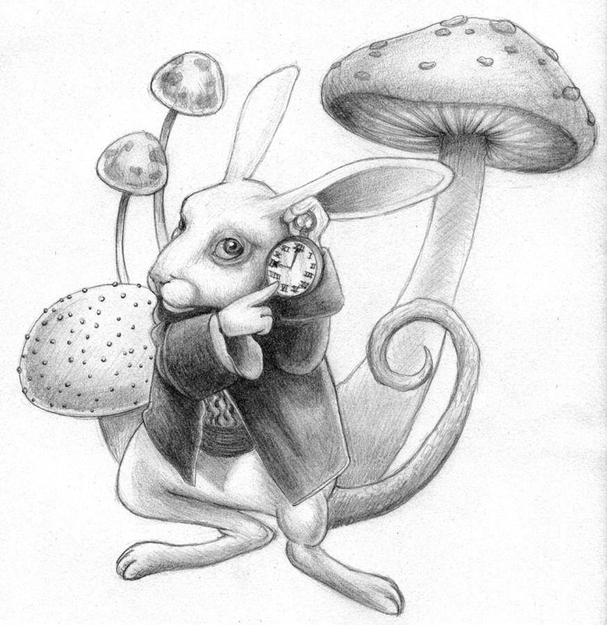 874x900 The White Rabbit Insane Can Blog Next Tattoo Will Be - White Rabbit Alice In Wonderland Drawing