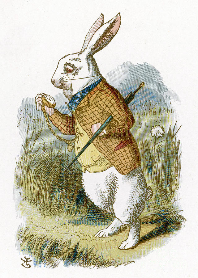 640x900 the white rabbit from alice in wonderland drawing - White Rabbit Alice In Wonderland Drawing