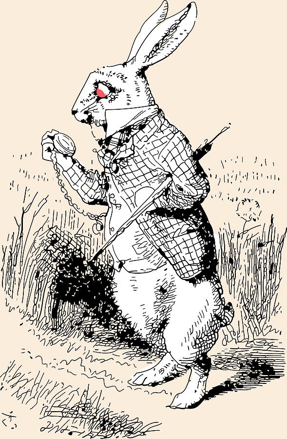 589x900 white rabbit alice in wonderland drawing - White Rabbit Alice In Wonderland Drawing