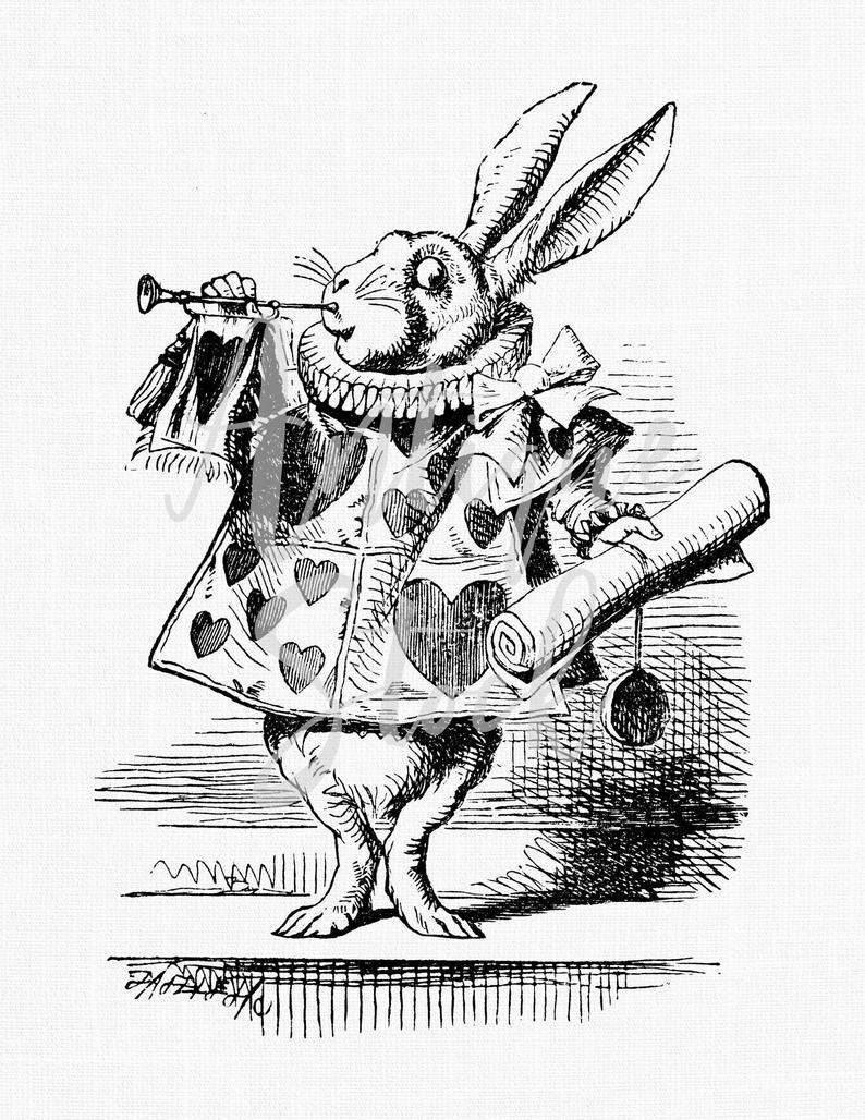 794x1028 white rabbit vintage image clipart alice in wonderland drawing etsy - White Rabbit Alice In Wonderland Drawing