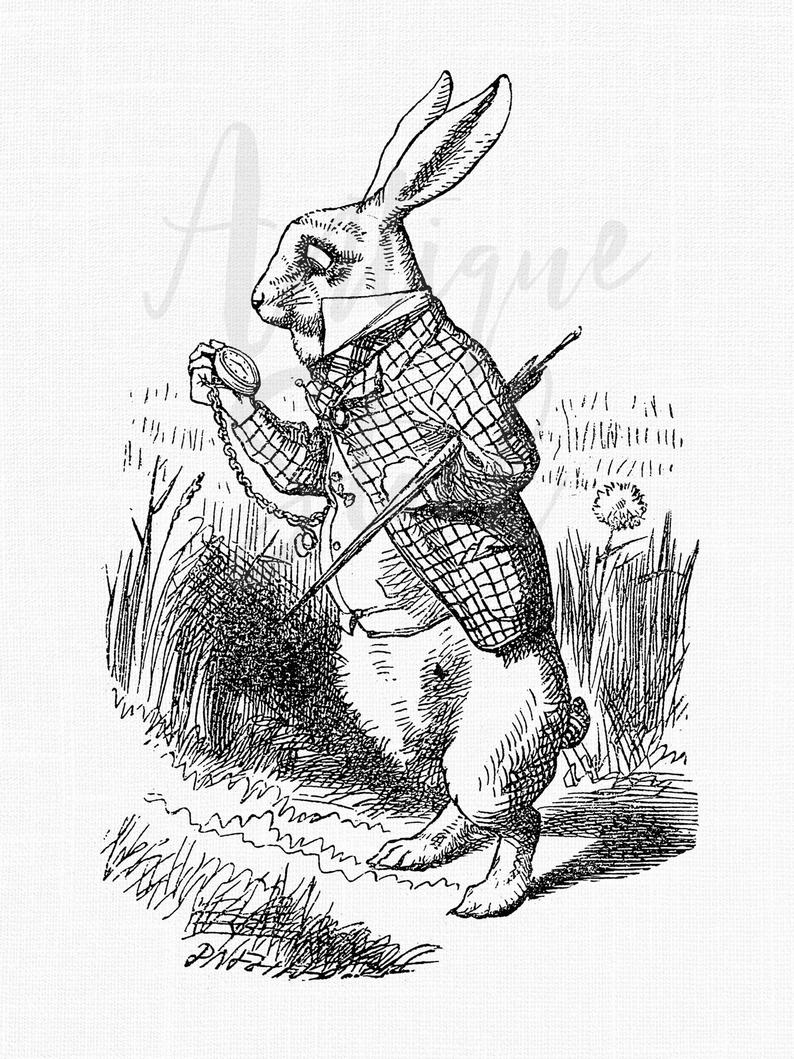 794x1059 white rabbit watch image alice in wonderland vintage drawing etsy - White Rabbit Alice In Wonderland Drawing