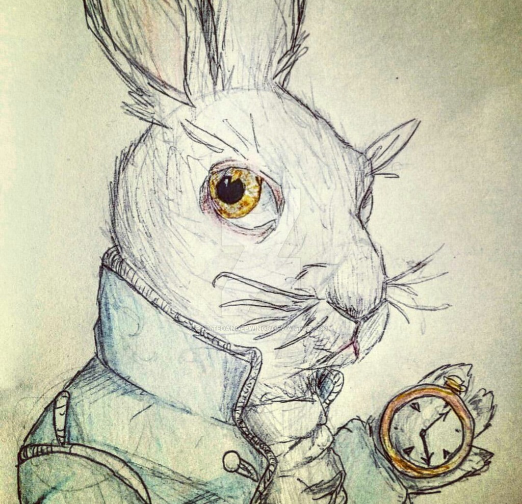 1024x989 white rabbit alice in wonderland - White Rabbit Alice In Wonderland Drawing