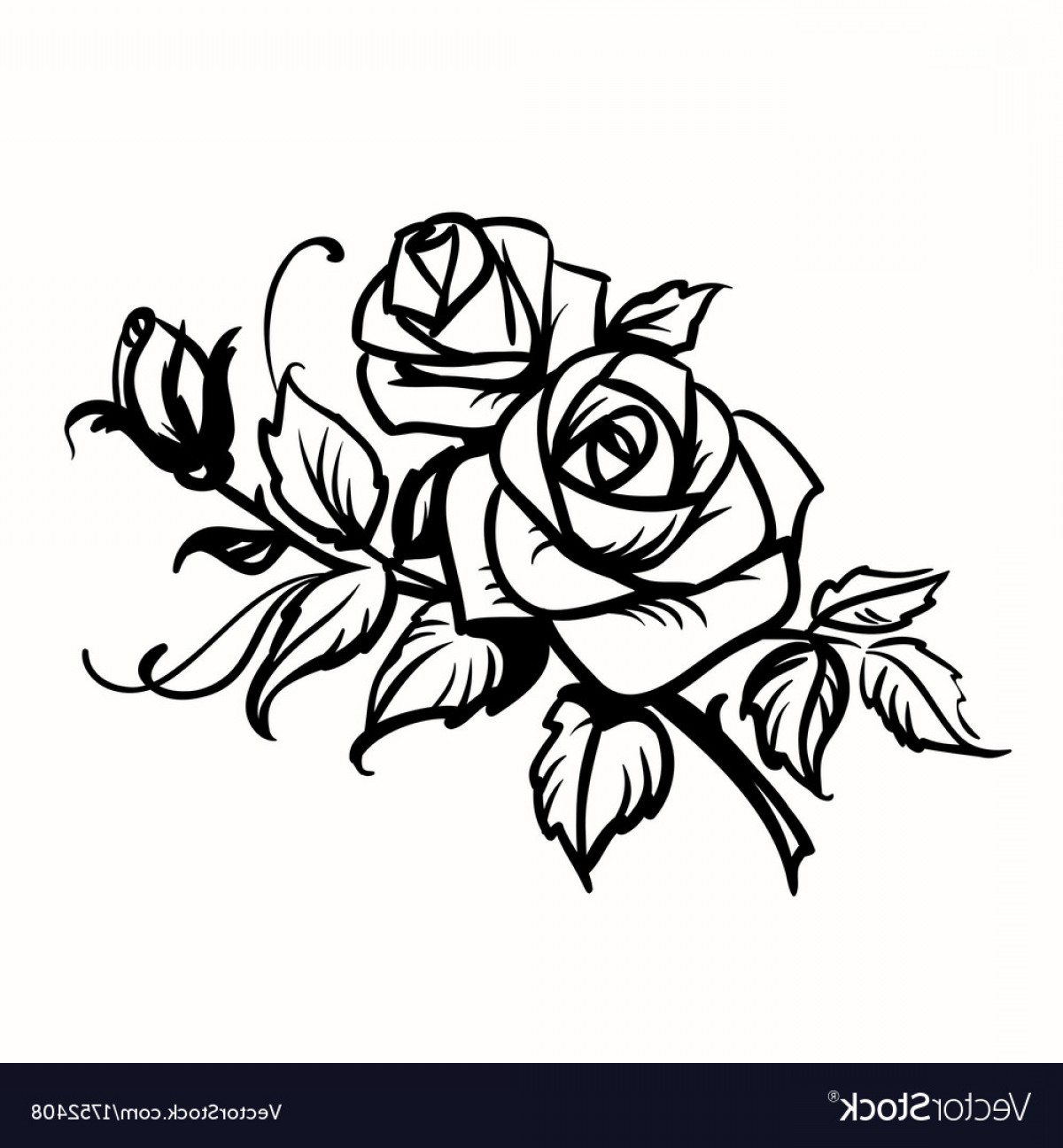 1200x1296 roses black outline drawing on white background vector soidergi - White Rose Drawing