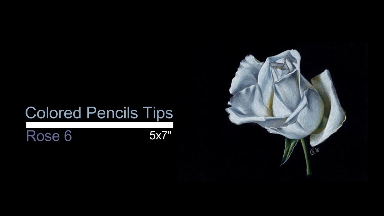 1280x720 Colored Pencils Tips And Tutorial How To Draw A White Rose - White Rose Drawing
