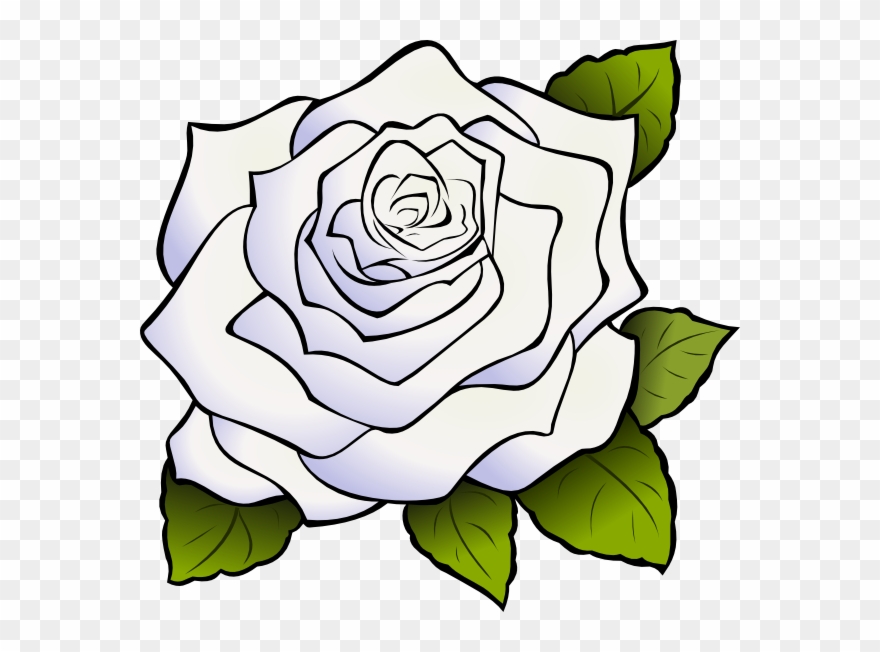 880x652 Download White Rose Png Clipart Clip Art Drawing Flower - White Rose Drawing