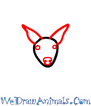 300x350 how to draw a whitetail deer - White Tailed Deer Drawing