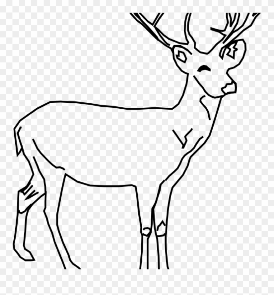 880x945 white tailed deer clip art whitetail deer clip art - White Tailed Deer Drawing