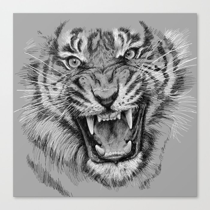700x700 Tiger Portrait Animal Design Canvas Print - White Tiger Drawing