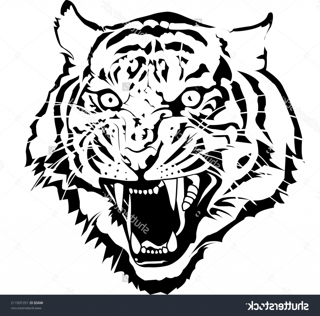 1024x1011 simple tiger drawing simple tiger face drawing black and white - White Tiger Face Drawing