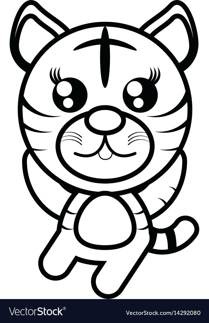 700x1080 tiger outline drawing tiger white tiger outline drawing - White Tiger Face Drawing