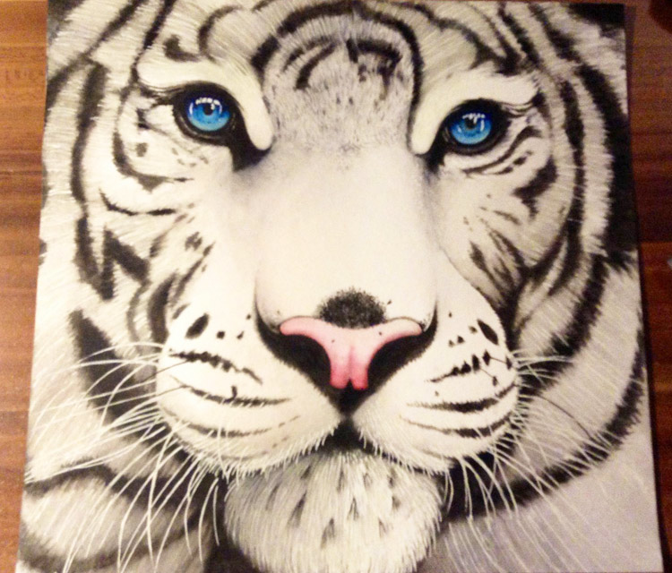 Pencil Tiger Face Drawing Images - Rizop