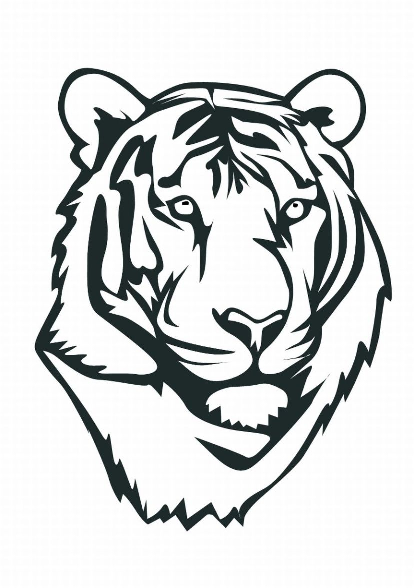 829x1176 Easy Tiger Drawings In Black And White Easy Tiger Drawing Simple - White Tiger Face Drawing