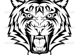 300x210 Easy To Draw Black And White Pictures How To Draw Snow White - White Tiger Face Drawing