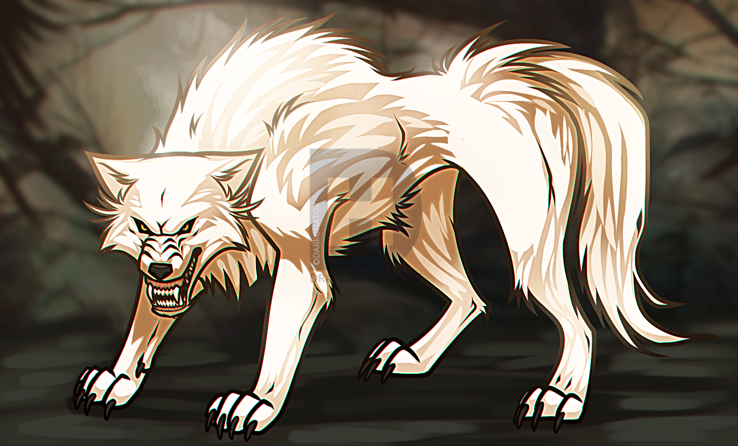 1481x896 How To Draw A White Wolf, Step - White Wolf Drawing