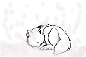 300x200 How To Draw White Wolf In Snow - White Wolf Drawing