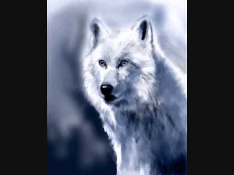 480x360 Time Lapse Drawing White Wolf - White Wolf Drawing