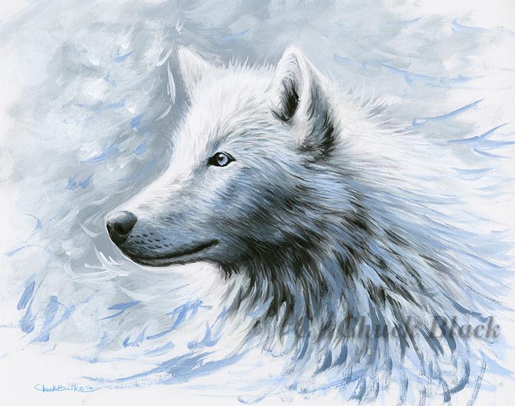 740x584 White Wolf Limited Edition Print - White Wolf Drawing