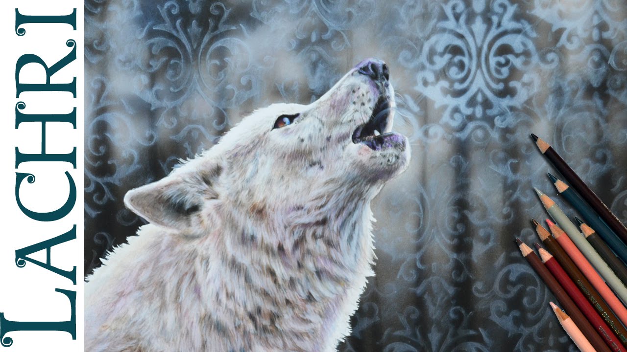 1280x720 White Wolf Colored Pencil And Airbrush Speed Drawing - White Wolf Drawing