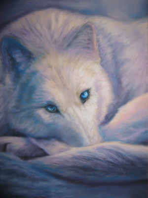 300x400 wolves images white wolf drawing wallpaper and background photos - White Wolf Drawing